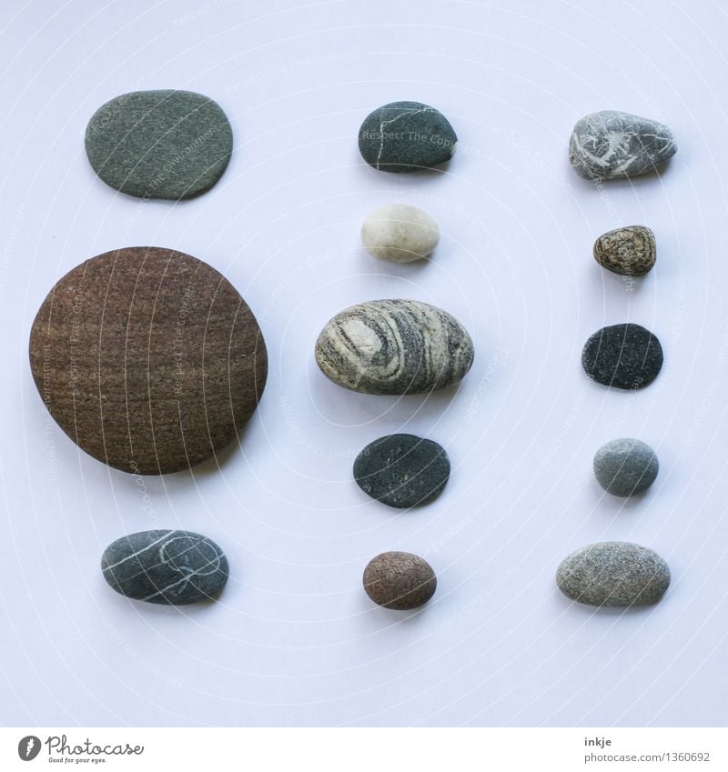 Steine sind still Lifestyle Urelemente Sammlung Sammlerstück Kieselsteine Rechteck Quadrat aufgereiht Super Stillleben liegen einzigartig braun grau ästhetisch