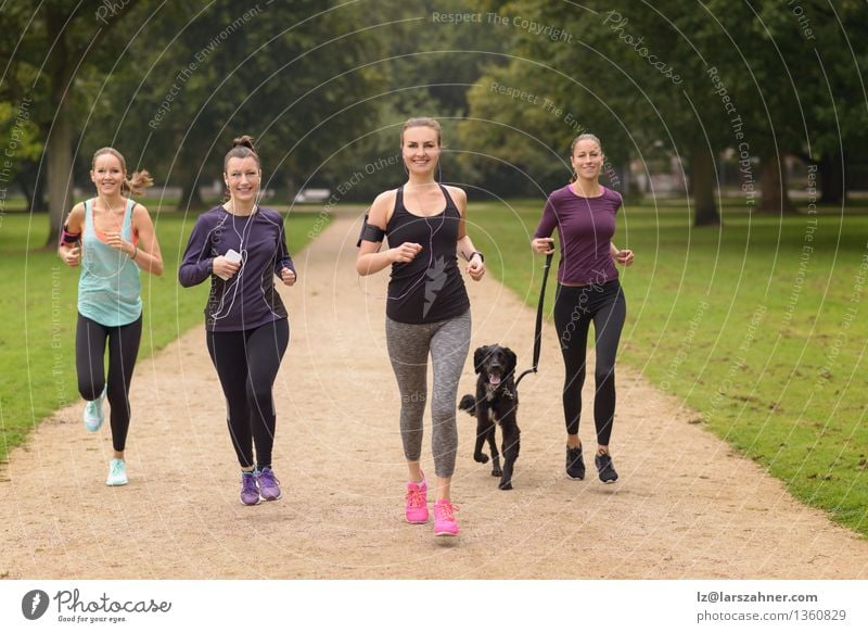 Vier gesunde junge Frauen, die im Park rütteln Lifestyle Erholung Sommer Sport Joggen PDA Erwachsene Freundschaft Menschengruppe Haustier Hund Fitness Lächeln