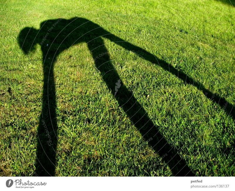 Spiderman's Schatten Wiese Gras Licht grün schwarz biegen bücken unten schmal lang obskur Mensch Sonne Freude lustig Natur Leben Fun Beine Arme oben