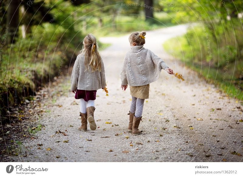 Herbstspaziergang Mensch feminin Kind Mädchen Geschwister Schwester Familie & Verwandtschaft Kindheit 2 3-8 Jahre Umwelt Natur Schönes Wetter Wald entdecken