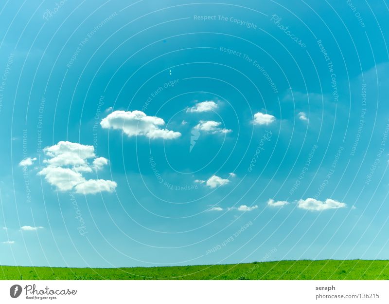 Easy Hintergrundbild Wiese Feld Wolken Pflanze Freiraum Erholung Frieden Aussicht Horizont zyan minimalistisch Leichtigkeit leicht ländlich ökologisch