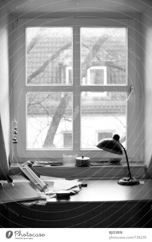 Jans Schreibtisch Hochformat vertikal Innenaufnahme Fenster Tisch unordentlich Baum Holz Haus Blick nach draußen Zettel Baumstamm Rahmen gerahmt Zusammensein