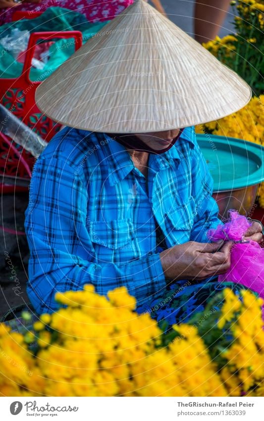 Händlerin Pflanze blau braun mehrfarbig gelb gold violett rosa rot schwarz verkaufen Markt Blume Vietnamesen Frau Hut Hoi An Handarbeit Farbfoto Außenaufnahme