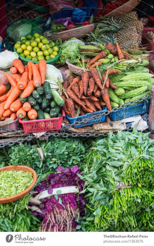 Gemüsestand Lebensmittel Salat Salatbeilage blau braun mehrfarbig gelb grau grün violett orange rosa schwarz türkis weiß Möhre frisch Kräuter & Gewürze Markt