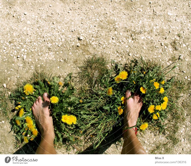 Öko-Latschen Farbfoto Außenaufnahme Insel Beine Fuß Erde Dürre Blume Gras Schuhe Stein dreckig trocken braun gelb grau grün erdig Kies Kieselsteine Staub