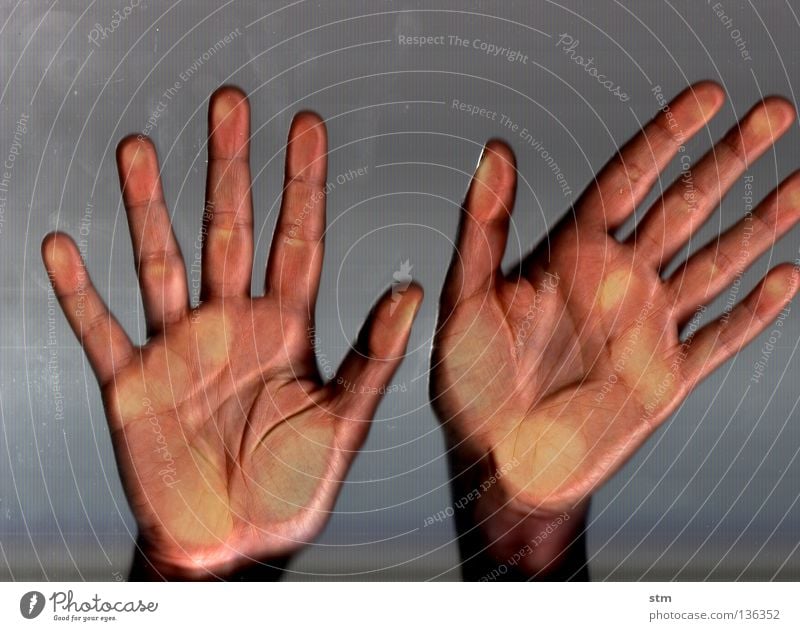 touch 8 Hand berühren Streicheln ruhen ruhig liegen grau Finger edel erfassen sensibel streichen verschwimmen Gefühle Fingerkuppe Fingerabdruck zart
