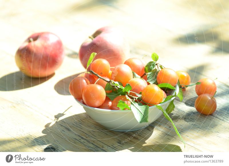 Vitamine im Sonnenlicht. . . Lebensmittel Frucht Apfel Mirabellen Ernährung Bioprodukte Vegetarische Ernährung Lifestyle Freude Glück Gesundheit