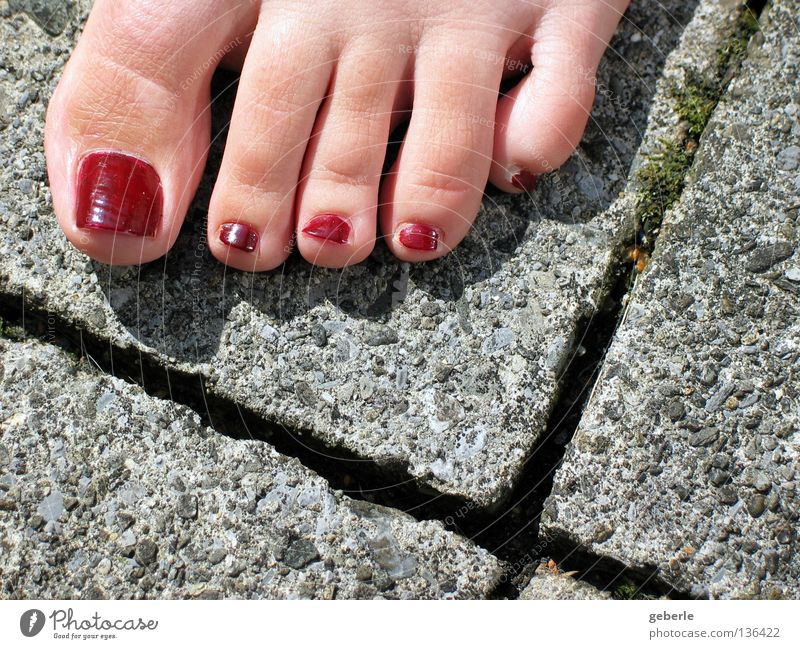 Zehengruss Beton rot grün grau 5 leicht beschwingt Dreieck Fuge Sommer Frau feminin Fuß Haut Freude oben Barfuß