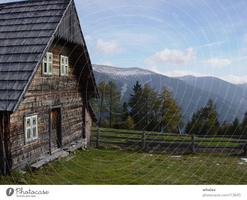 Hütte Wald Baum Berge u. Gebirge Landschaft Freiheit Natur