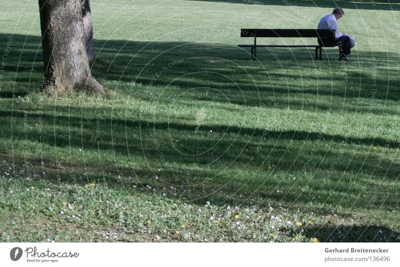 Broken Banker Baum Park Wiese Gras grün Mann Hemd Denken Erholung Kündigung Arbeitslosigkeit Ladengeschäft Sommer Physik transpirieren Flucht aufhängen