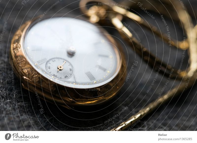 Pocket Watch 1 Handwerk Uhr Taschenuhr Taschenuhrdeckel Kette Glas Metall Gold Ziffern & Zahlen gelb grau schwarz weiß Genauigkeit Präzision Vergänglichkeit