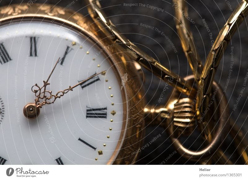 Pocket Watch 3 Uhr Glas Metall Gold Ziffern & Zahlen gelb grau schwarz weiß Verlässlichkeit Pünktlichkeit Genauigkeit Präzision Vergänglichkeit Zeit mechanisch