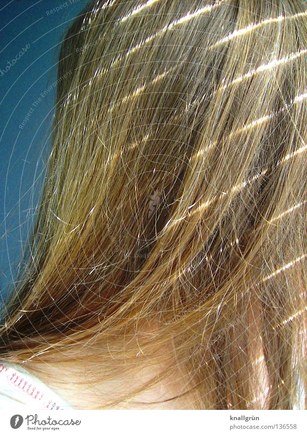 Good hair day! blond langhaarig Licht Streifen Schulter Frau Haare & Frisuren Dunkelblond Strähnchen Reflexion & Spiegelung Haut
