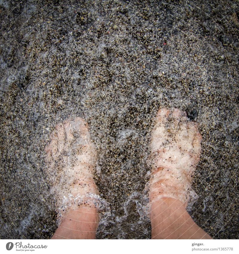 kalt | Füße im Wasser Fuß 1 Mensch Sand Frühling nackt nass Sauberkeit braun grau Haut Zehen prickeln Meerwasser Fußbad Wellen stehen marmoriert Farbfoto
