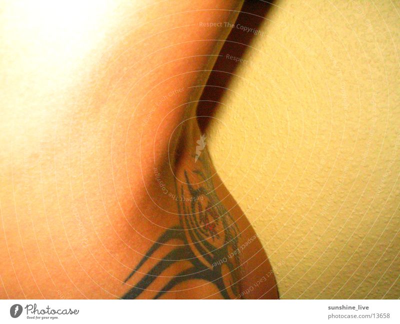Rückenansicht feminin Nackte Haut Erotik Frau Tattoo