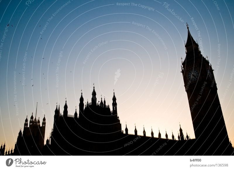 sightseeingsilhouette London schwarz Gegenlicht Vogel Sightseeing Bauwerk Big Ben Houses of Parliament Sonnenuntergang groß bedrohlich England Politik & Staat