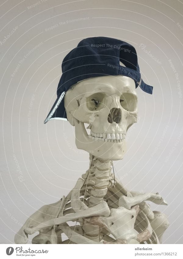 Skelett - cooler Typ I Körper Kopf Mütze Coolness blau grau weiß Hut Gelassenheit Farbfoto Innenaufnahme Freisteller Hintergrund neutral Tag Kunstlicht