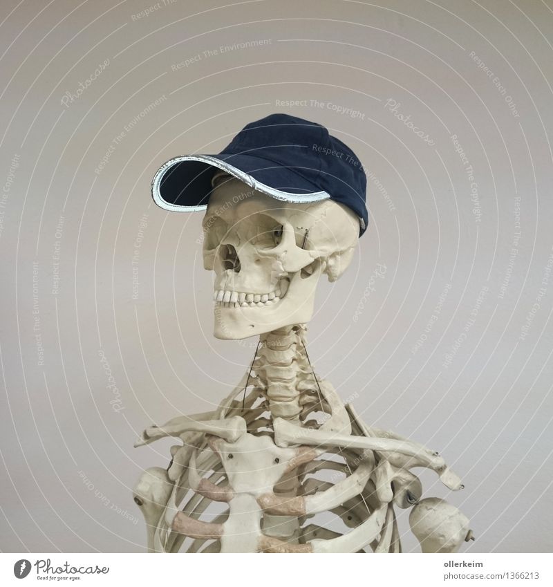 Skelett - cooler Typ II Sport Sportler Körper Kopf Hut Mütze Coolness blau grau weiß Fitness Schlüsselbein Schädel Farbfoto Innenaufnahme Freisteller