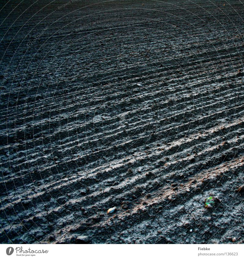 Over empty fields of nothingness Feld Feldarbeit Ackerbau Lebensmittel Landwirtschaft Landwirtschaftliche Geräte Staub staubig braun grau Strukturen & Formen