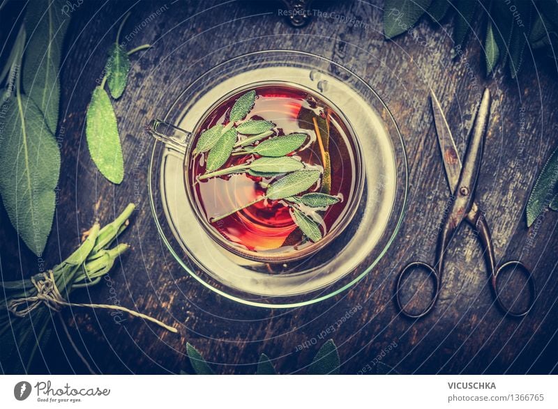 Kräutertee mit Salbei Kräuter & Gewürze Getränk Heißgetränk Tee Teller Tasse Stil Alternativmedizin Gesunde Ernährung Leben Sinnesorgane Erholung Duft Kur