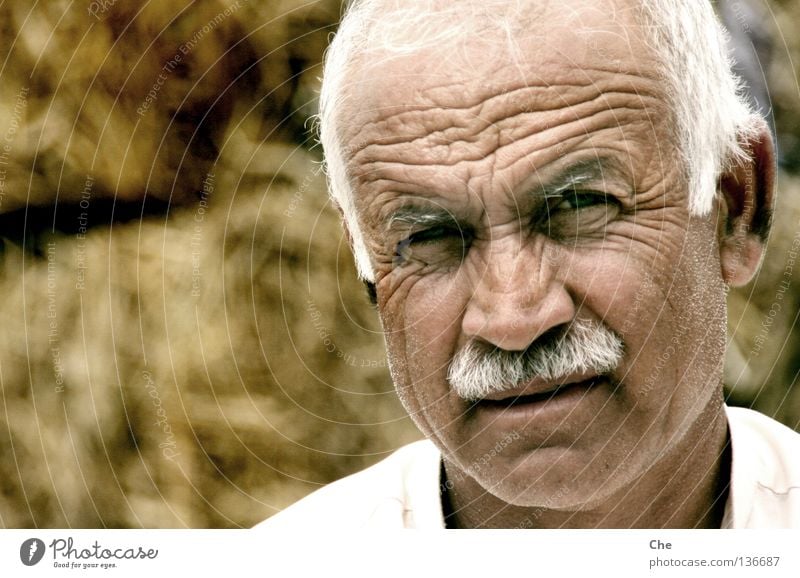 Der weiseste Mensch Pakistans Weisheit klug grauhaarig weiß Kopf stechend durchdringend fixieren Erfahrung kompetent Mann Großvater Oberlippenbart Stirn Asien