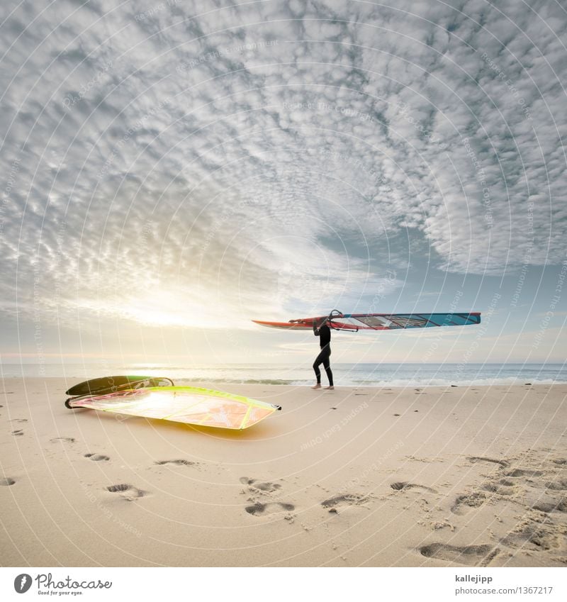 westküste Lifestyle Freizeit & Hobby Sport Reitsport Mensch Mann Erwachsene 1 18-30 Jahre Jugendliche Windsurfer Windsurfing Neoprenanzug Wasser Meer Küste