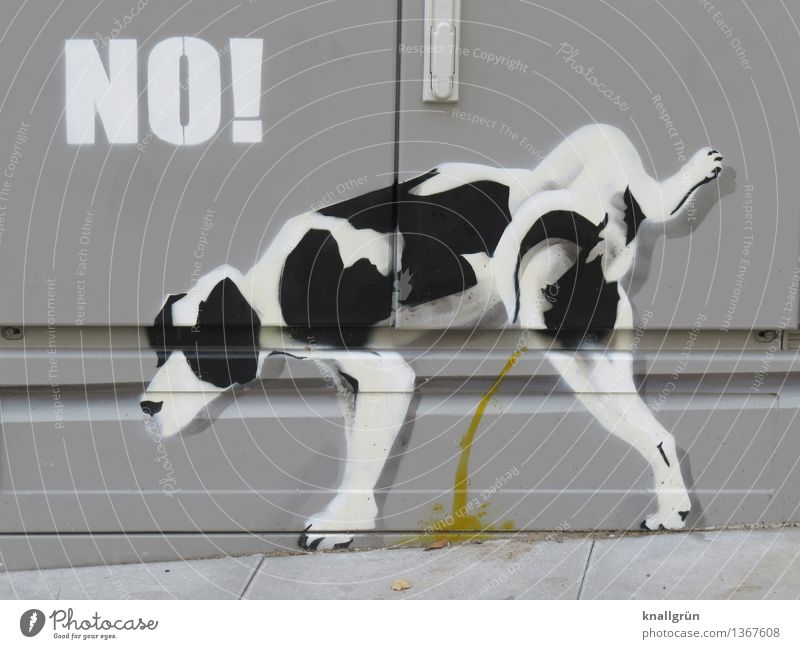 NO! Tier Haustier Hund 1 Schriftzeichen Graffiti stehen Stadt gelb grau schwarz weiß Gefühle Reinlichkeit Sauberkeit Kommunizieren Umweltverschmutzung urinieren