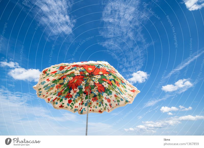 Strandtag Ferien & Urlaub & Reisen Tourismus Sommer Himmel Erholung Leichtigkeit Schirm Sonnenschirm Wetterschutz Sonnenlicht