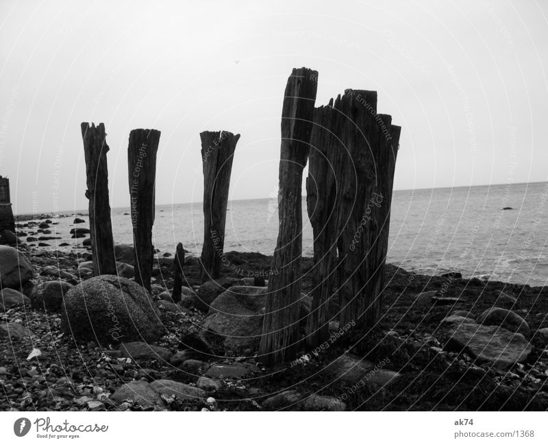 Fünf Meer Küste Holz schwarz weiß Ostsee
