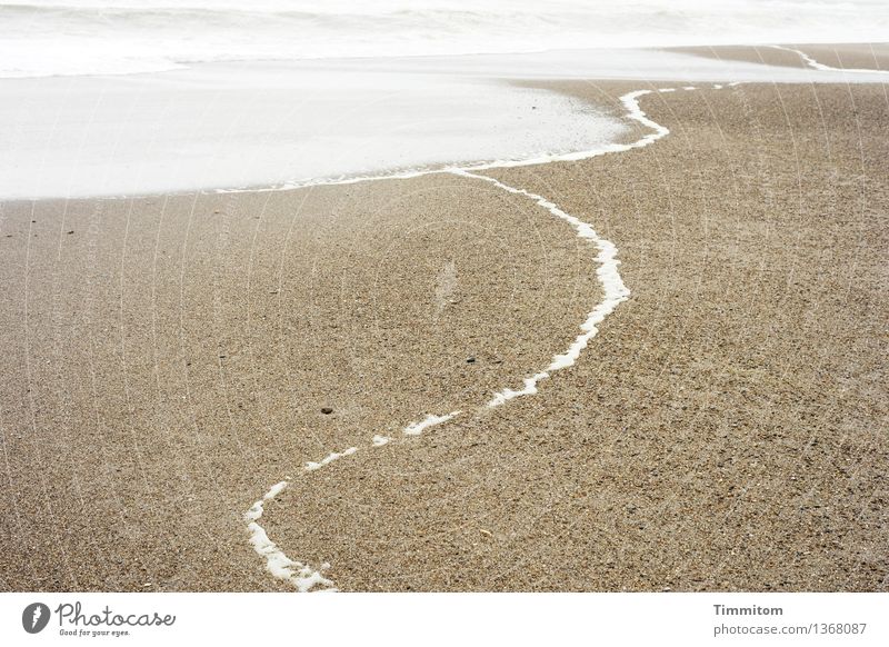 Sachte, sachte. Umwelt Natur Landschaft Sand Wasser Sommer Wetter Wellen Küste Nordsee Dänemark ästhetisch hell natürlich braun weiß Gefühle ruhig Leben