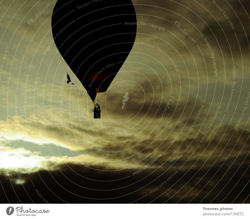 Frei|heit Ballone Stimmung Sommer dunkel schwarz gelb weiß Wolken frei über den Wolken Luft Veranstaltung Ereignisse Rundfahrt fahren Pilot aufsteigen Beginn