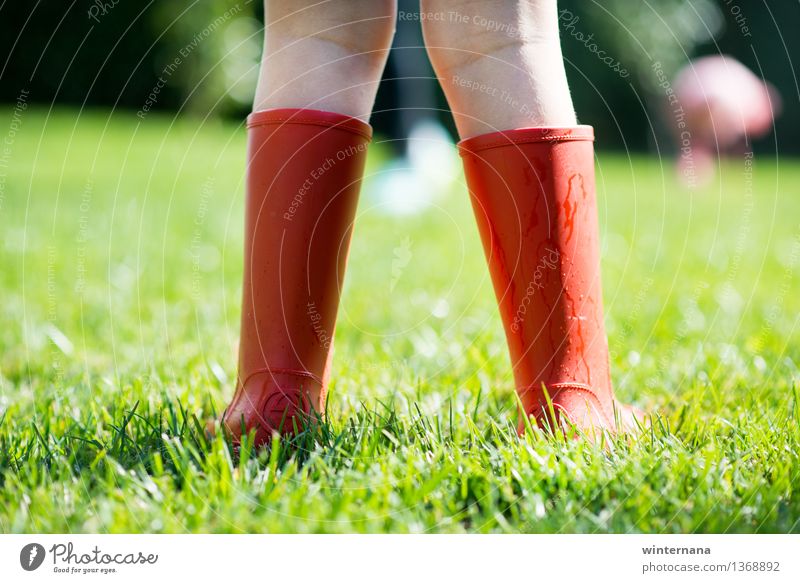 rote Stiefel auf dem grünen Gras Kind Mädchen 1 Mensch 3-8 Jahre Kindheit Erde Wassertropfen Sonne Frühling Regen Garten Gummistiefel Freiheit Freude Idee
