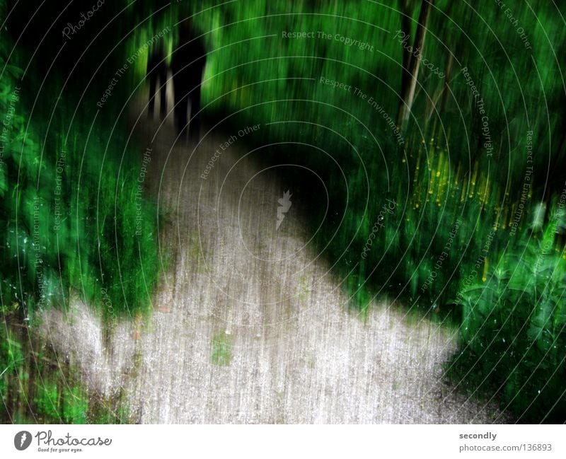 shady umbrage Wald grün schwarz dunkel Schattendasein Schattenseite Vergänglichkeit Angst Panik Wege & Pfade Tod ende des tunnels Unschärfe