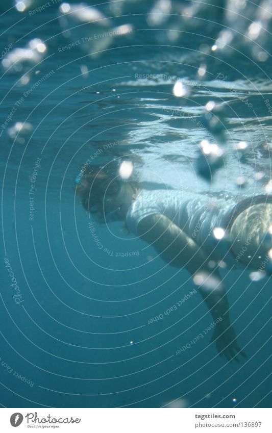 LOOKING BACK Malediven tauchen Schnorcheln Frau unten Indien Meer Luftblase drehen Revue passieren lassen Taucher Wasseroberfläche Oberfläche