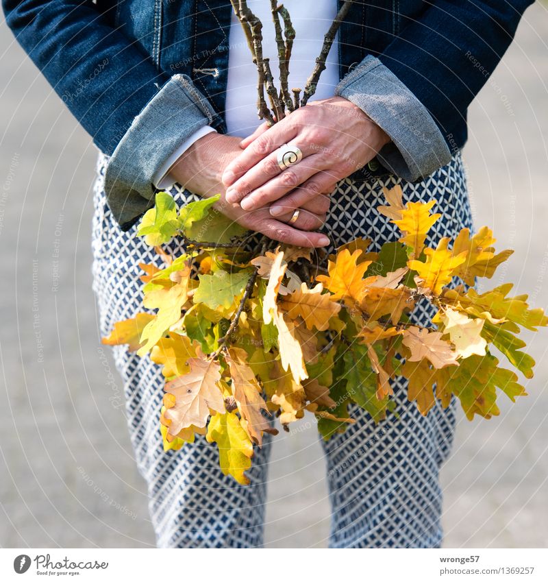 Blättersammlung Freizeit & Hobby Spaziergang Mensch feminin Frau Erwachsene Weiblicher Senior 1 45-60 Jahre Blatt Hose Jacke Schmuck Ring blau mehrfarbig gelb