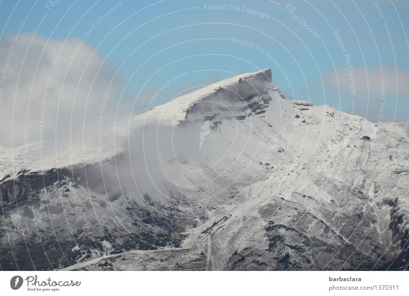 Traum|wetter in den Bergen Umwelt Natur Urelemente Himmel Schönes Wetter Nebel Schnee Alpen Berge u. Gebirge Hoher Ifen Allgäuer Alpen Schneebedeckte Gipfel