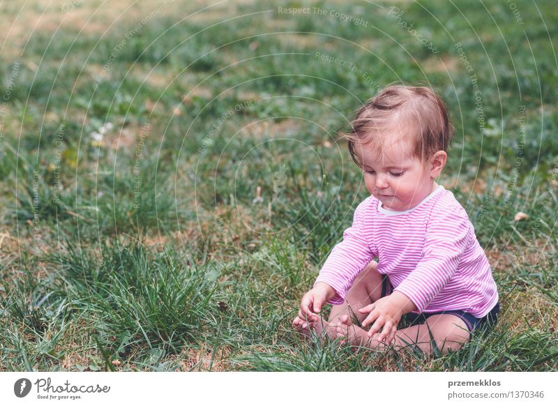Baby, das auf einem Gras im Garten sitzt Lifestyle Freude Glück schön Leben Spielen Kind Mensch Kleinkind Mädchen Kindheit 1 0-12 Monate Park sitzen klein
