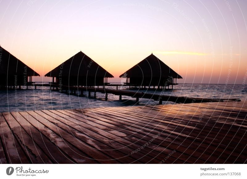 GOOD MORNING RANNALHI gut Malediven Sonnenaufgang Morgen Ferien & Urlaub & Reisen Asien Sommer Ferienhaus Steg Flitterwochen Indien Meer Erholung Good Morning