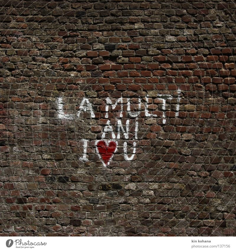verewigt Kunst Mauer Wand Backstein Zeichen Schriftzeichen Graffiti Herz Liebe schreiben warten Kitsch weiß Gefühle Lebensfreude Sympathie Zusammensein Glück