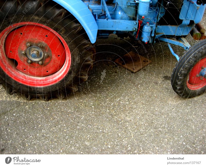 My old blue Tractor Traktor groß Teer Asphalt Landwirtschaft Maschine Verkehr blau