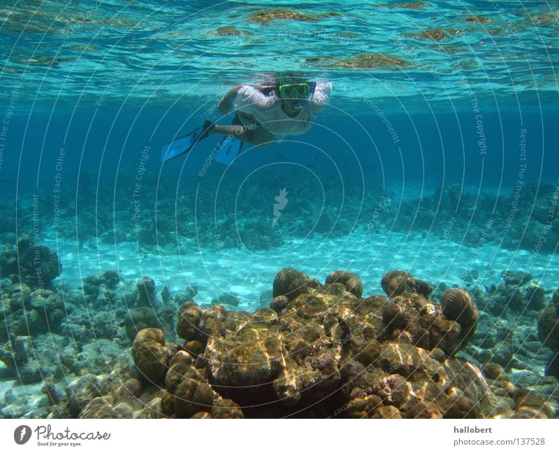 Malediven Water 17 Meer Riff tauchen Schnorcheln Wasser Unterwasseraufnahme traumurlaub meer von unten maldives traum urlaub malidives snorkelling
