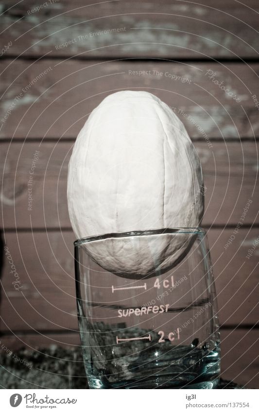 E!ngelaufen Hühnerei Schnapsglas Makroaufnahme Eierbecher verschrumpelt Objektfotografie