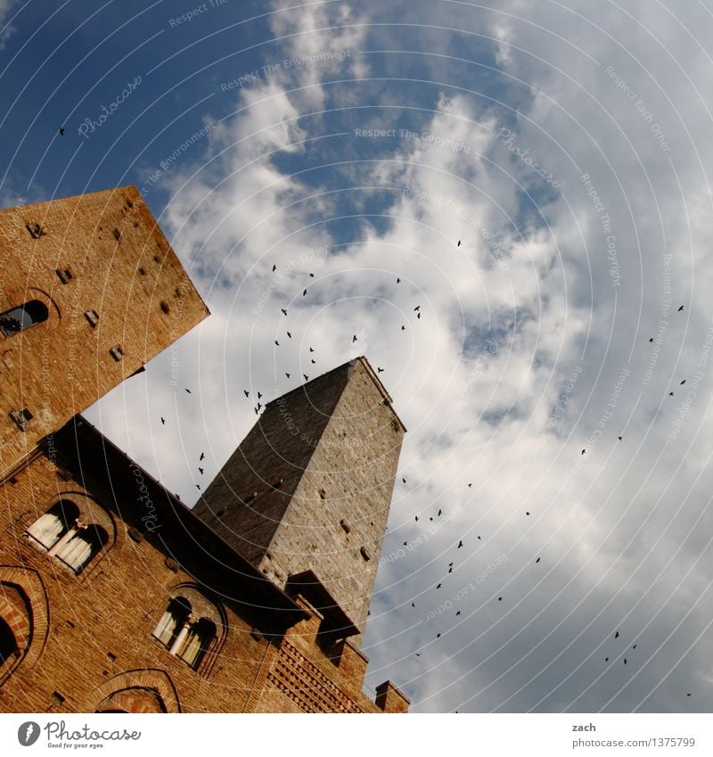 Der Schwarm San Gimignano Italien Toskana Kleinstadt Stadtzentrum Altstadt Haus Hochhaus Religion & Glaube Dom Palast Platz Turm Bauwerk Gebäude Architektur