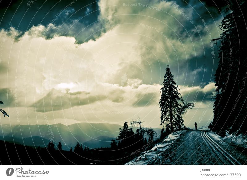 300 Ziele abgelegen losgehen schlechtes Wetter Wolken biblisch laufen Einsamkeit Denken Horizont Skilanglauf Lebenslauf Licht Loipe Nadelwald Philosophie ruhig