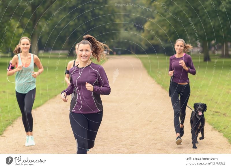Vier athletische Mädchen joggen im Park Lifestyle Erholung Sommer Sport Joggen PDA Frau Erwachsene Freundschaft Menschengruppe Haustier Hund Fitness Lächeln