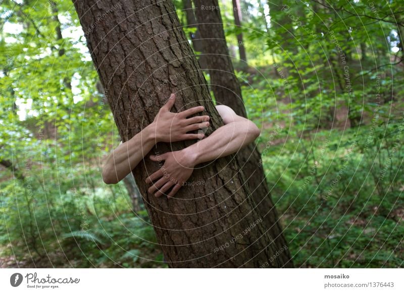 Umarmung Mann Erwachsene Arme Natur Baum Wald Umarmen sportlich Leidenschaft Umwelt Naturgewalt Leben Lebensfreude Nackte Haut Hand Liebe Kraft Sommer