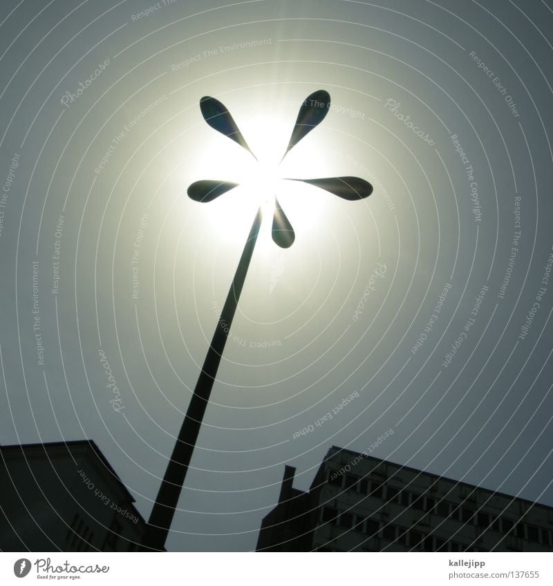 berlin flower Laterne Lampe Straßenbeleuchtung Gegenlicht 5 Nostalgie Luft Sauerstoff Ozon Sommer Smog Stadt Plattenbau Luftverschmutzung Feinstaub Pflanze