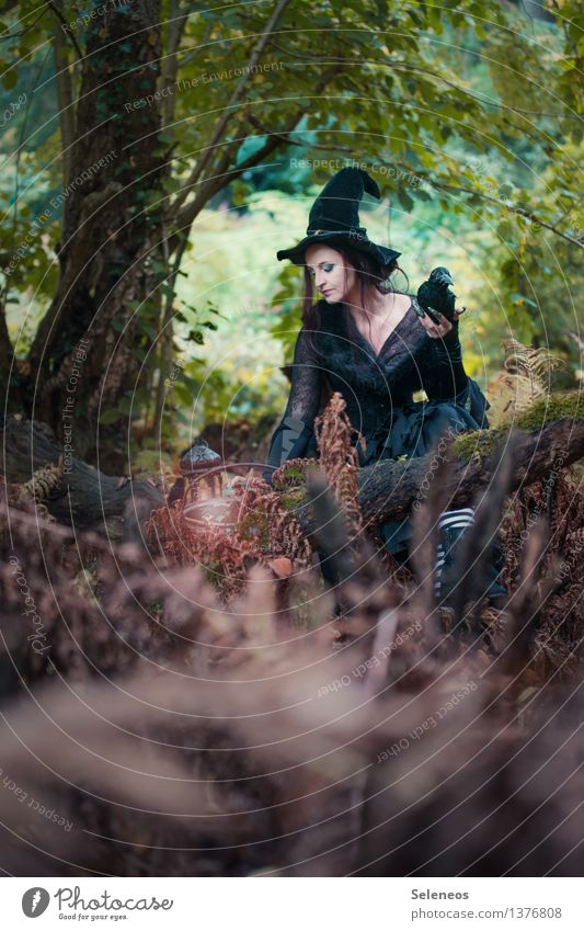 morgen brau ich Karneval Halloween Mensch feminin Frau Erwachsene 1 Natur Herbst Wald Hut gruselig Hexe Hexenhut Farbfoto Außenaufnahme