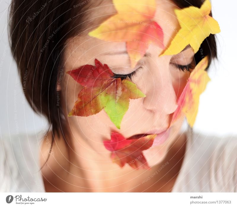 Herbst-Liebe Mensch feminin Junge Frau Jugendliche Erwachsene Kopf 1 30-45 Jahre Natur Pflanze Blatt Gefühle Stimmung herbstlich Herbstlaub Ahorn intensiv