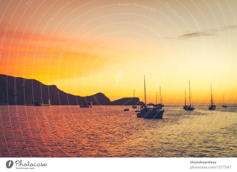Sundown in Bequia Wasser Himmel Horizont Sonnenaufgang Sonnenuntergang Hügel Küste Bucht Fjord Meer Insel Jacht Segelboot Segelschiff Hafen Jachthafen Anker